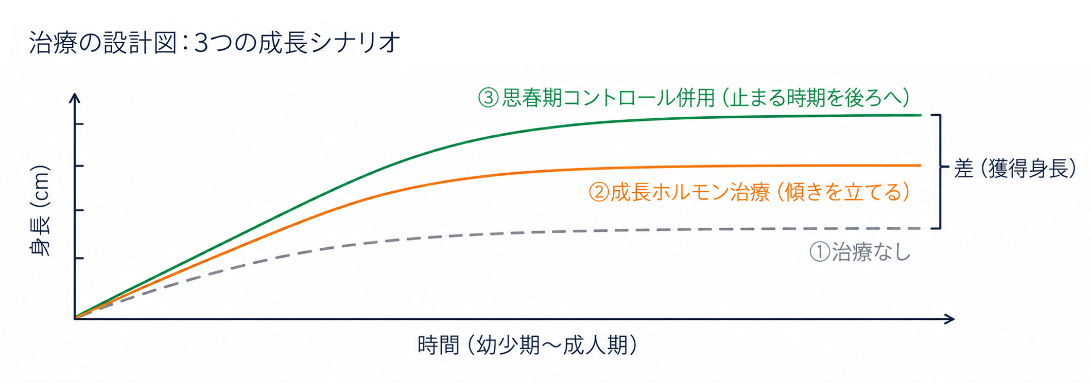 治療の設計図:治療なし、成長ホルモン治療、思春期コントロール併用の3つの成長シナリオを示す模式図